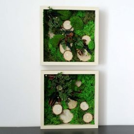 Cadre Octave – Image 3