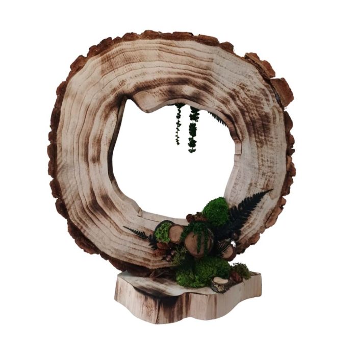 Éclat de forêt – Image 2