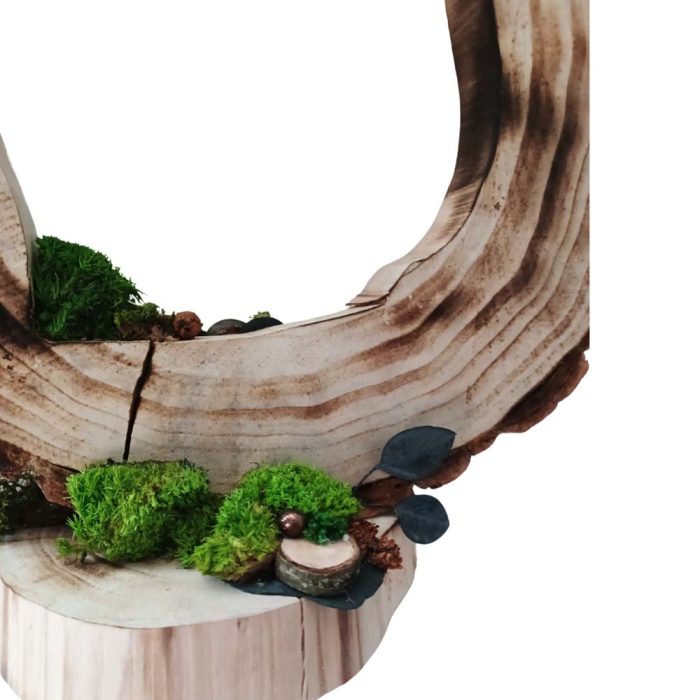 Éclat de forêt – Image 3