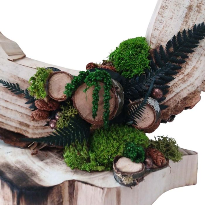 Éclat de forêt – Image 4