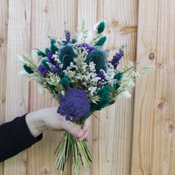 Violette – Image 5