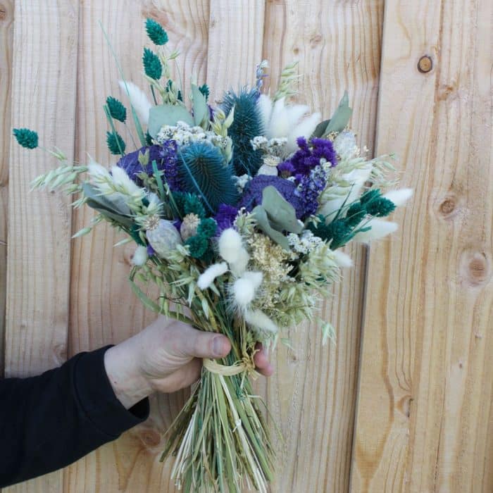 Violette – Image 6