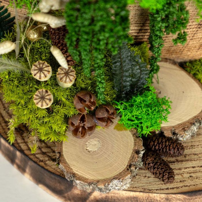 L’Âme de la Forêt – Image 2