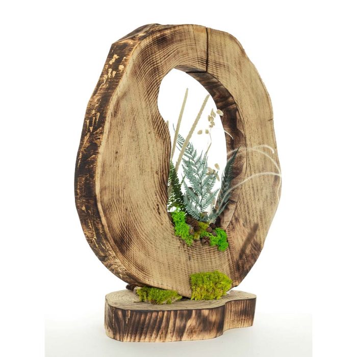 L’Âme de la Forêt – Image 6
