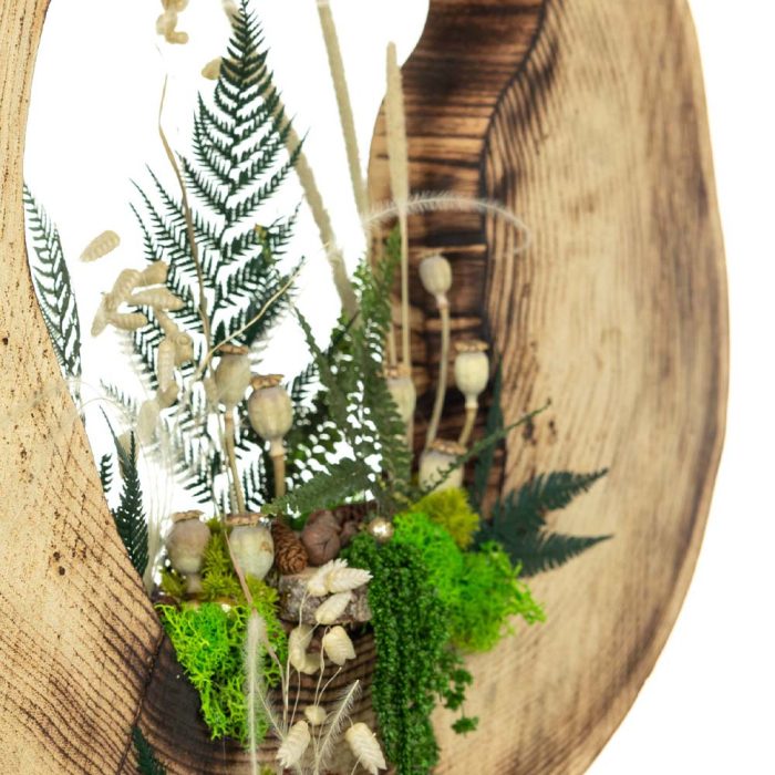 L’Âme de la Forêt – Image 4