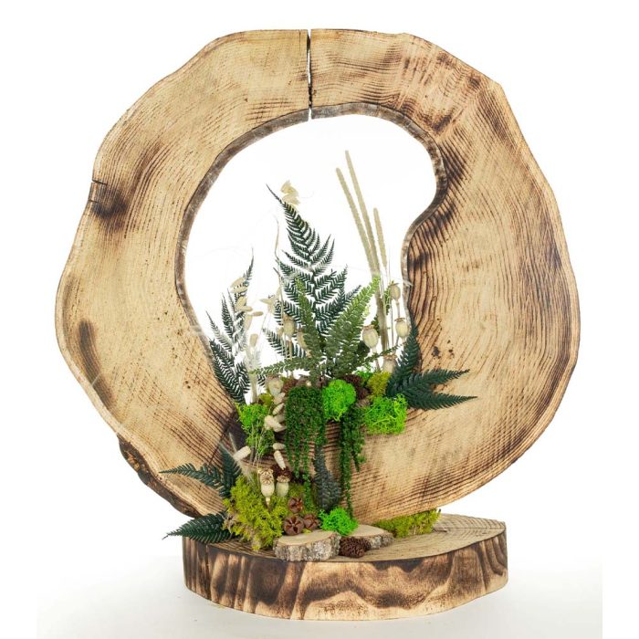 L’Âme de la Forêt