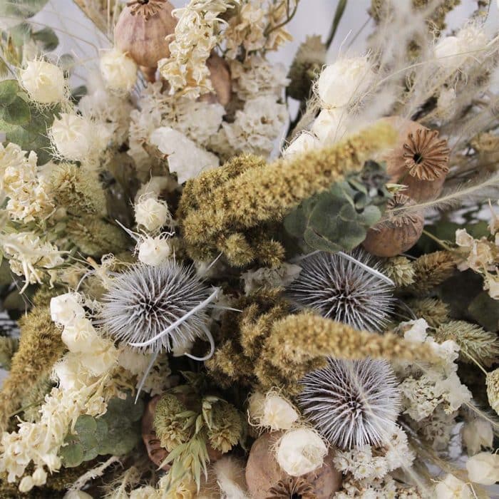 Eden – Image 2