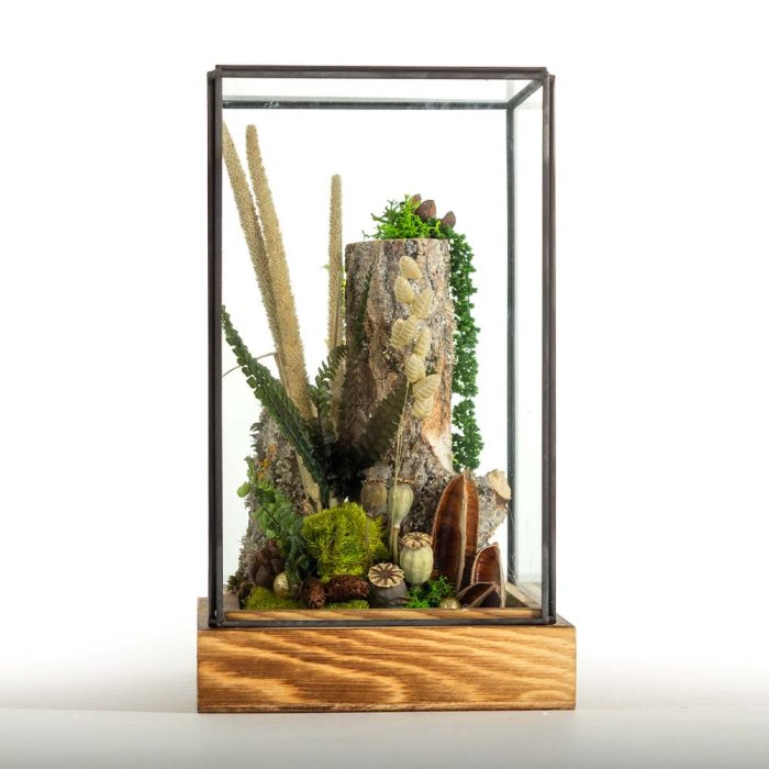 Escapade Forestière