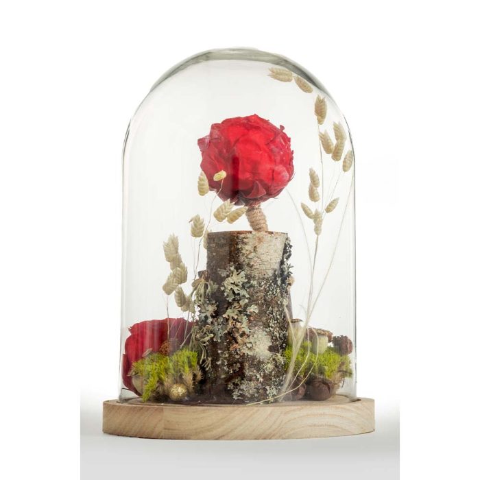 Essence de Rose – Image 5