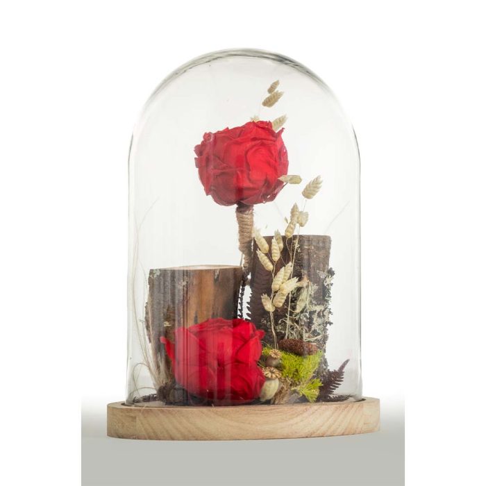 Essence de Rose
