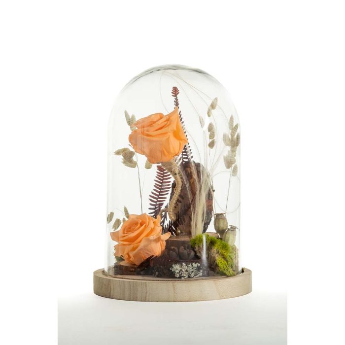 Essence de Rose – Image 4