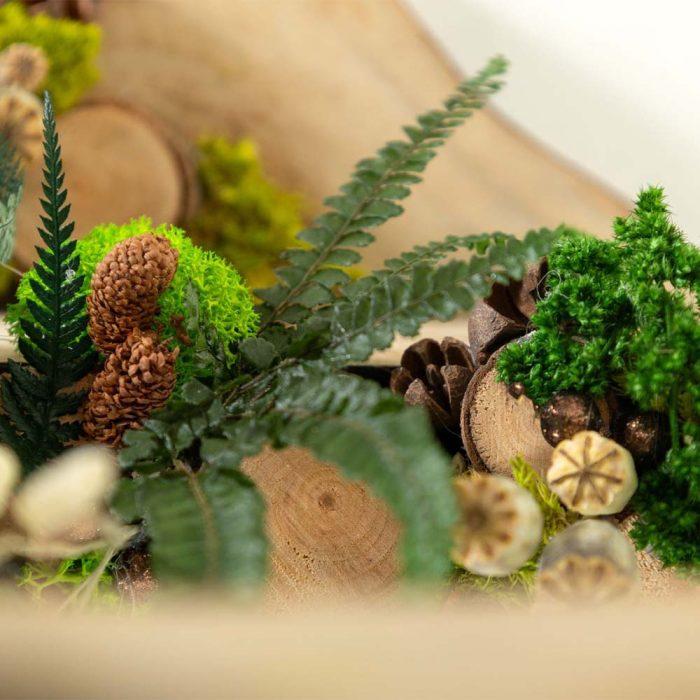 Essence de forêt – Image 3