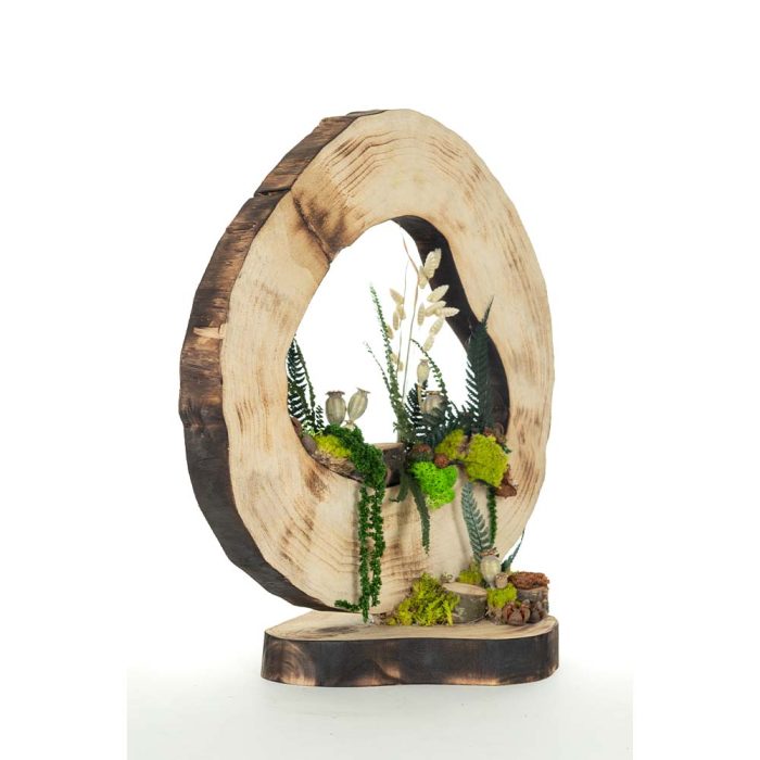 Essence de forêt – Image 4