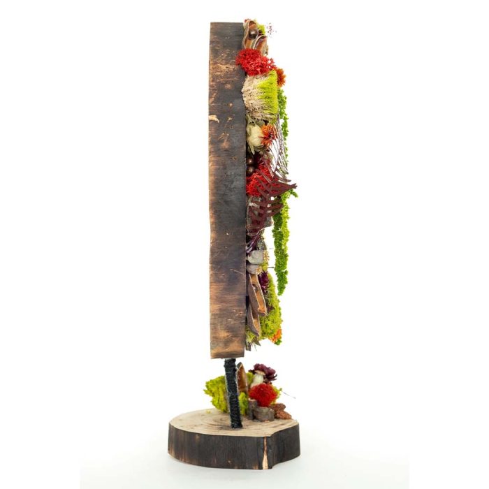 Terre Rouge – Image 4