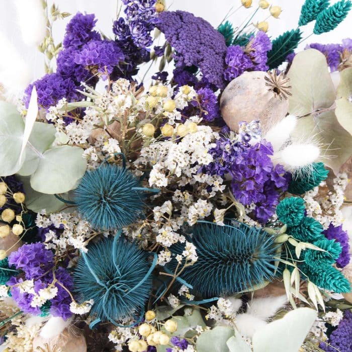 Violette – Image 2