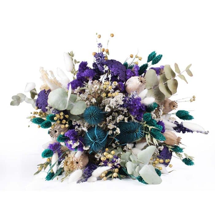 Violette – Image 4