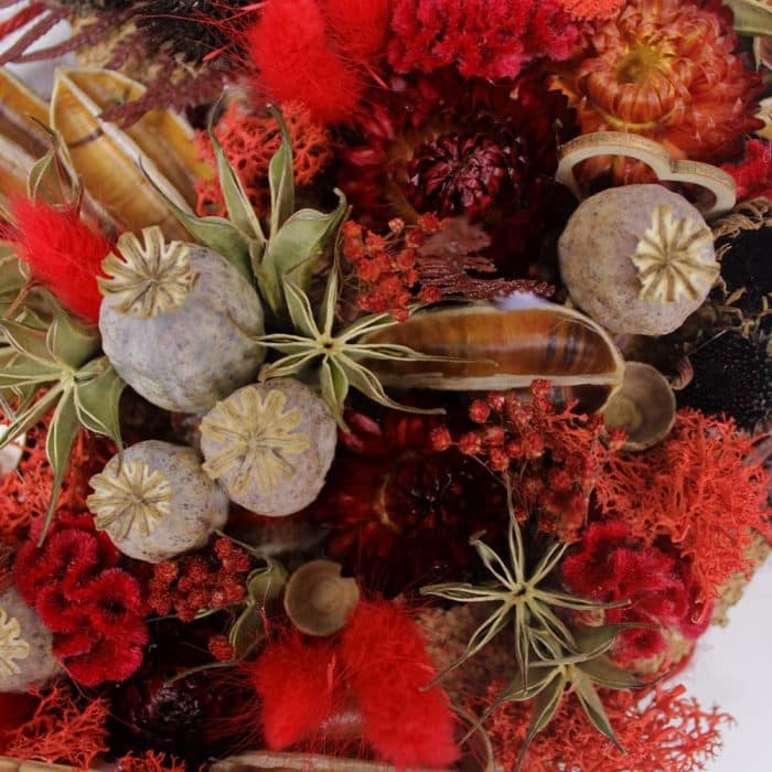 Authentique rouge – Image 3