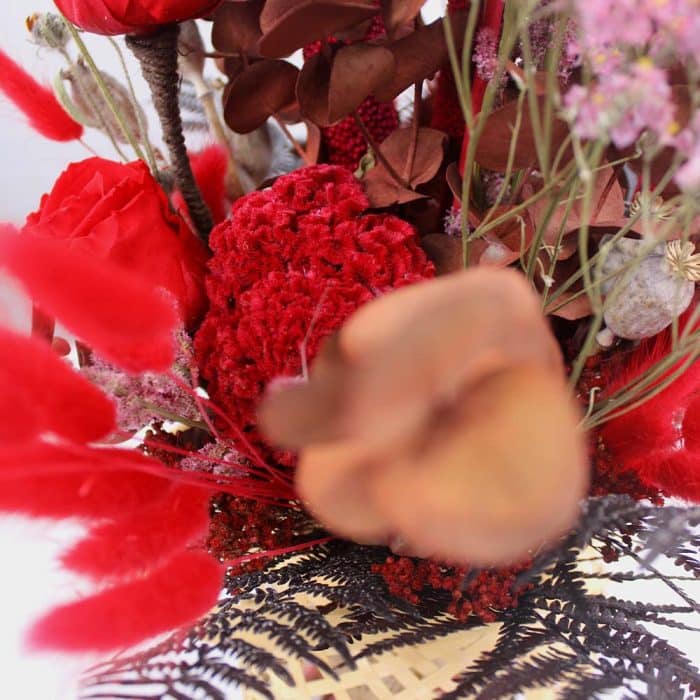 Vénus – Image 3