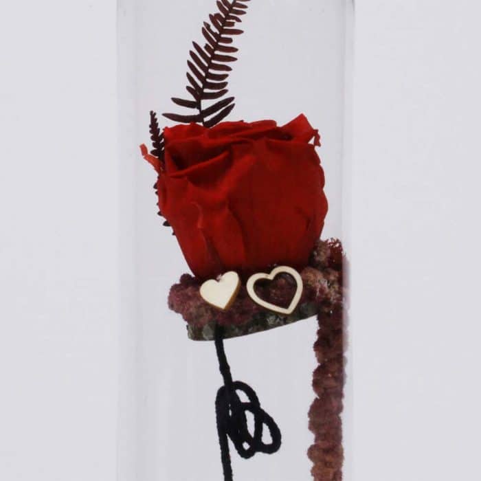 Éclat de passion – Image 2
