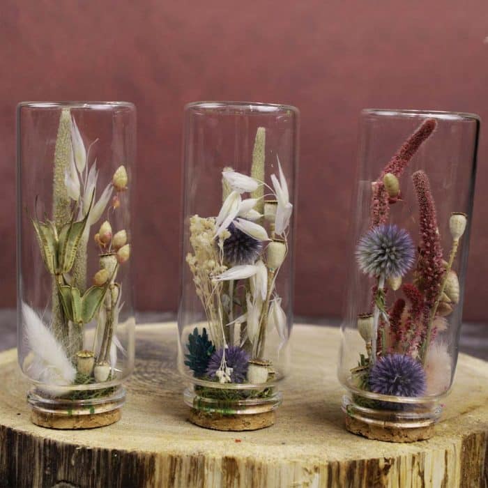 Mini Monde – Image 2