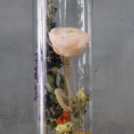 Fleur des champs – Image 2