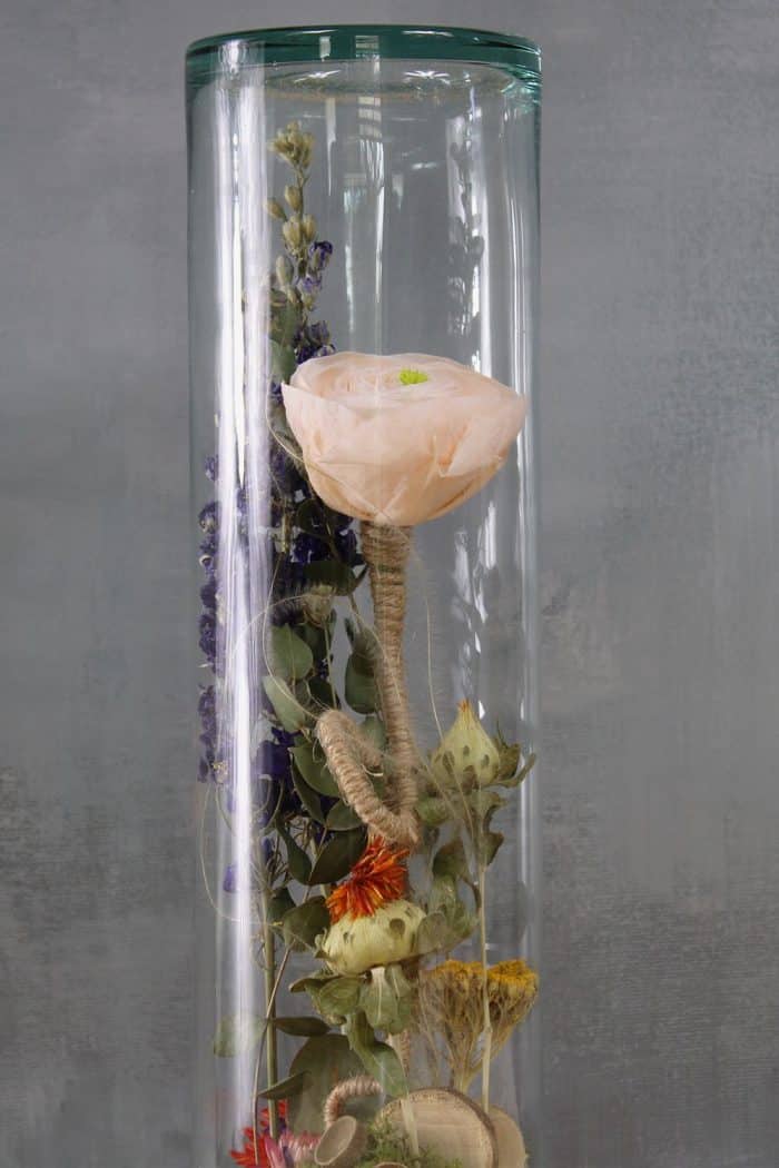 Fleur des champs – Image 2
