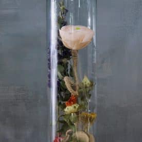 Fleur des champs – Image 3
