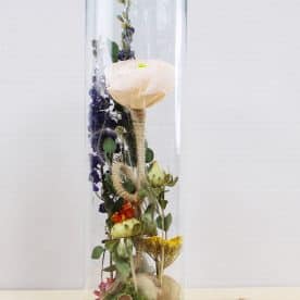 Fleur des champs – Image 5