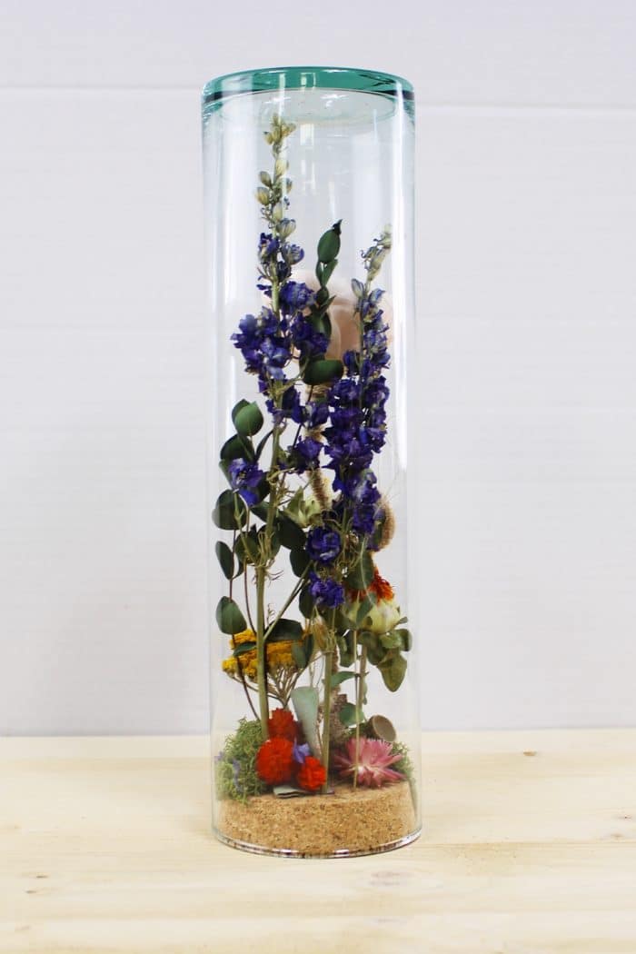 Fleur des champs – Image 4