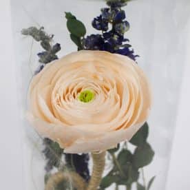 Fleur des champs – Image 6
