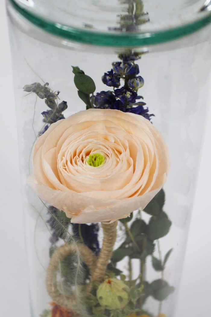 Fleur des champs – Image 6