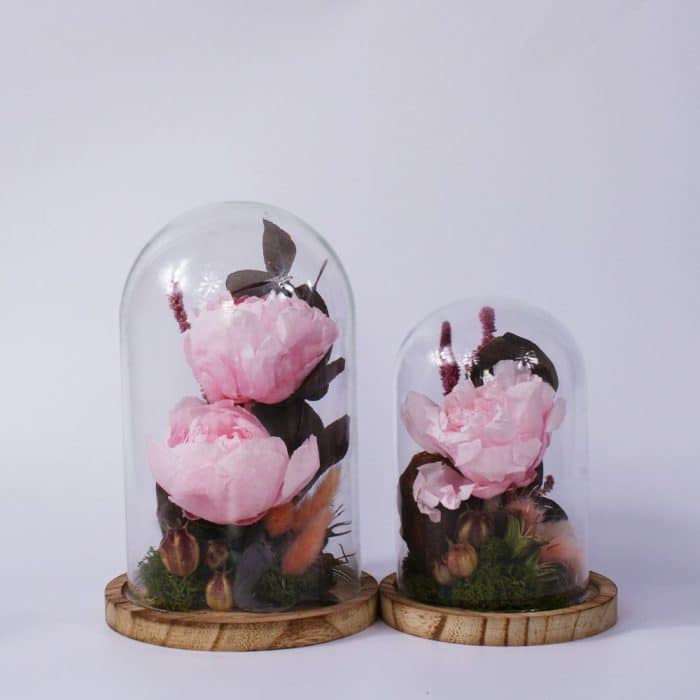 Brume Florale - Rose