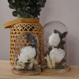 Brume Florale - Blanche