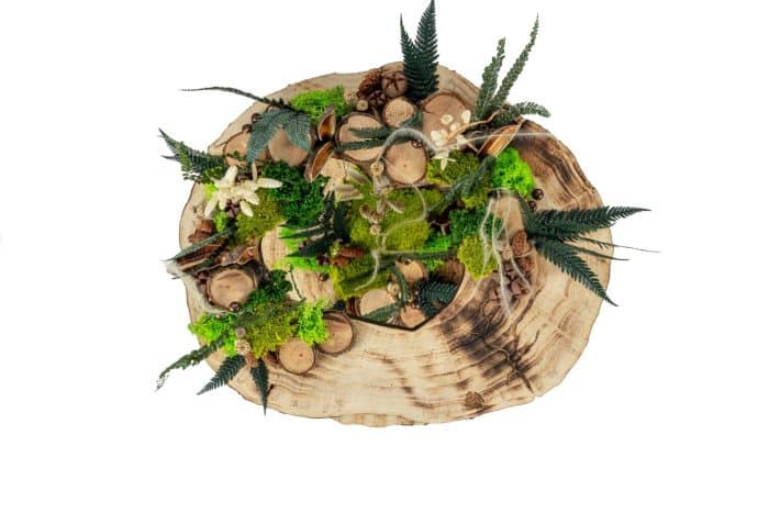 Cœur de Forêt – Image 2