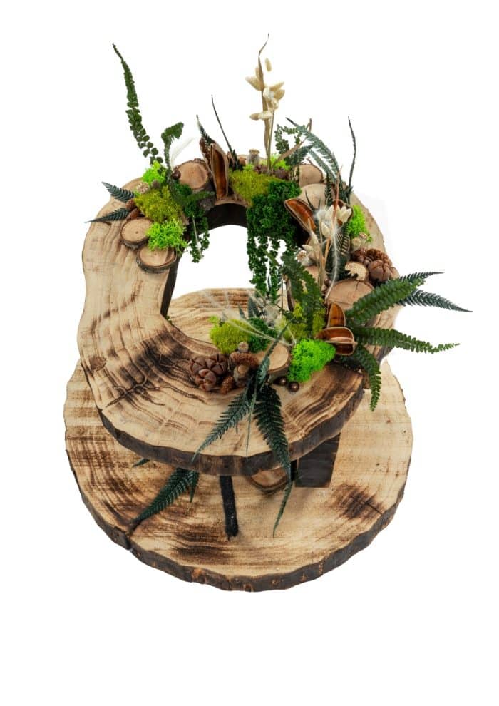 Cœur de Forêt – Image 3