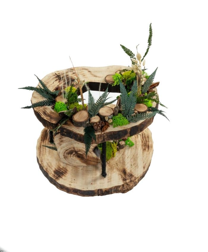 Cœur de Forêt – Image 4