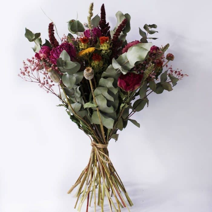 Isadora – Image 5