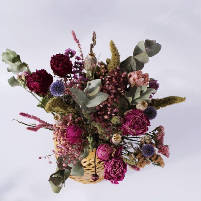 Éléonore – Image 5