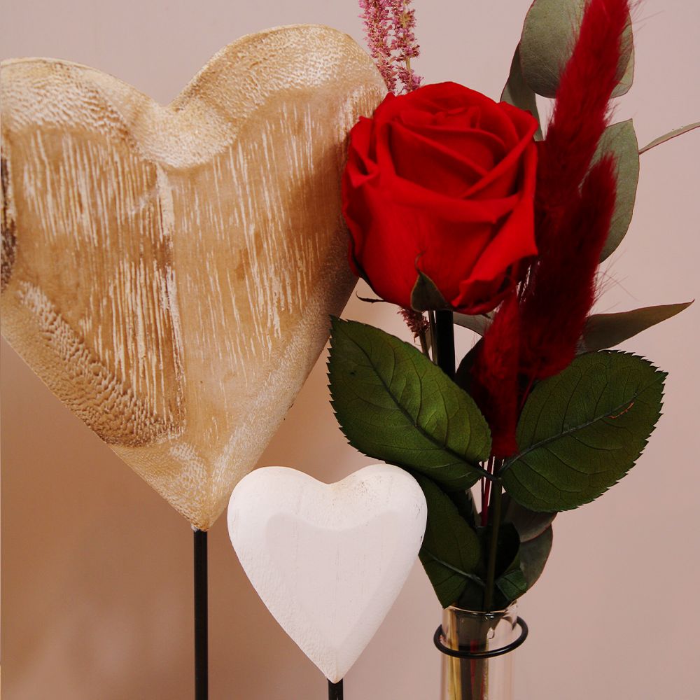 Symbiose d’Amour – Image 3