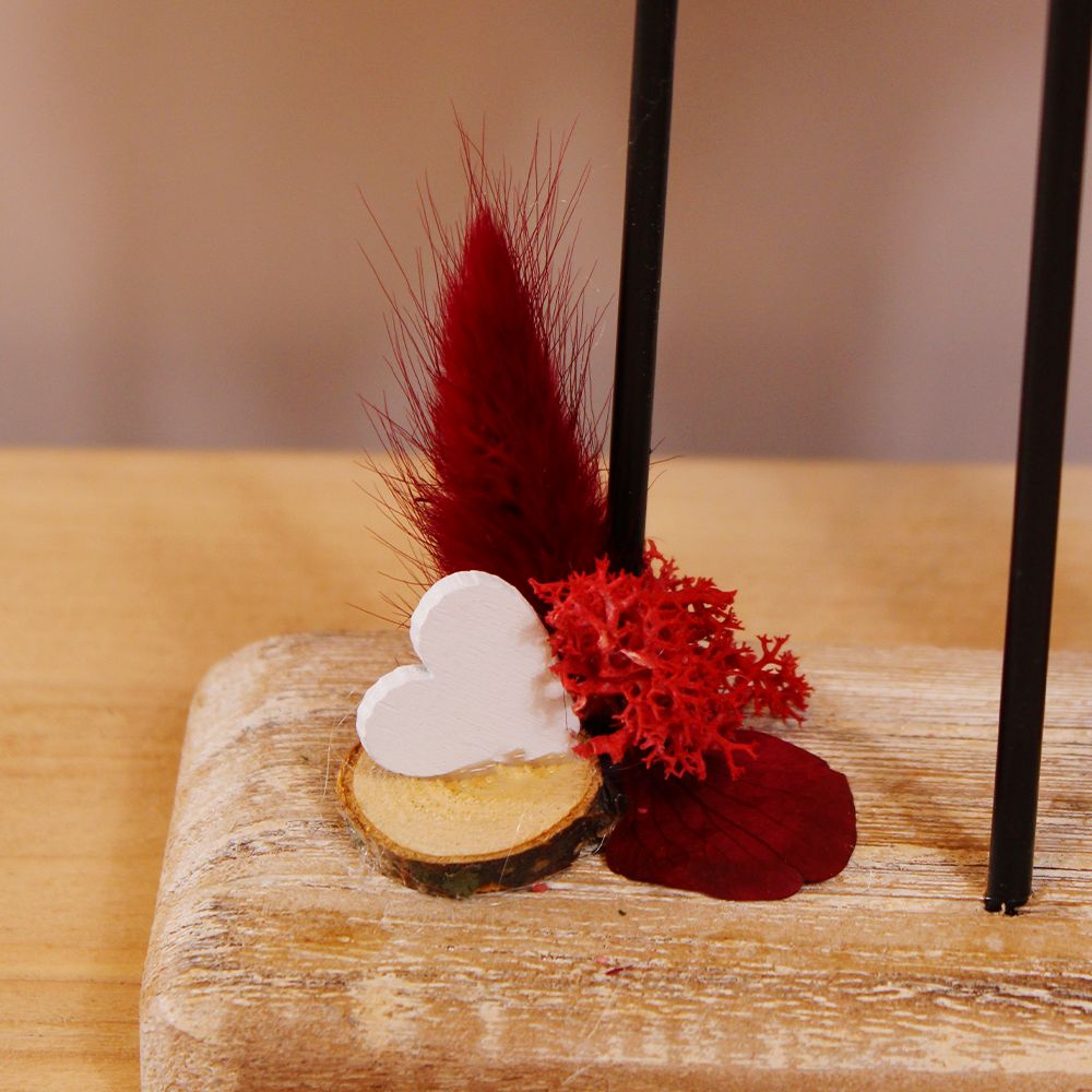 Symbiose d’Amour – Image 4